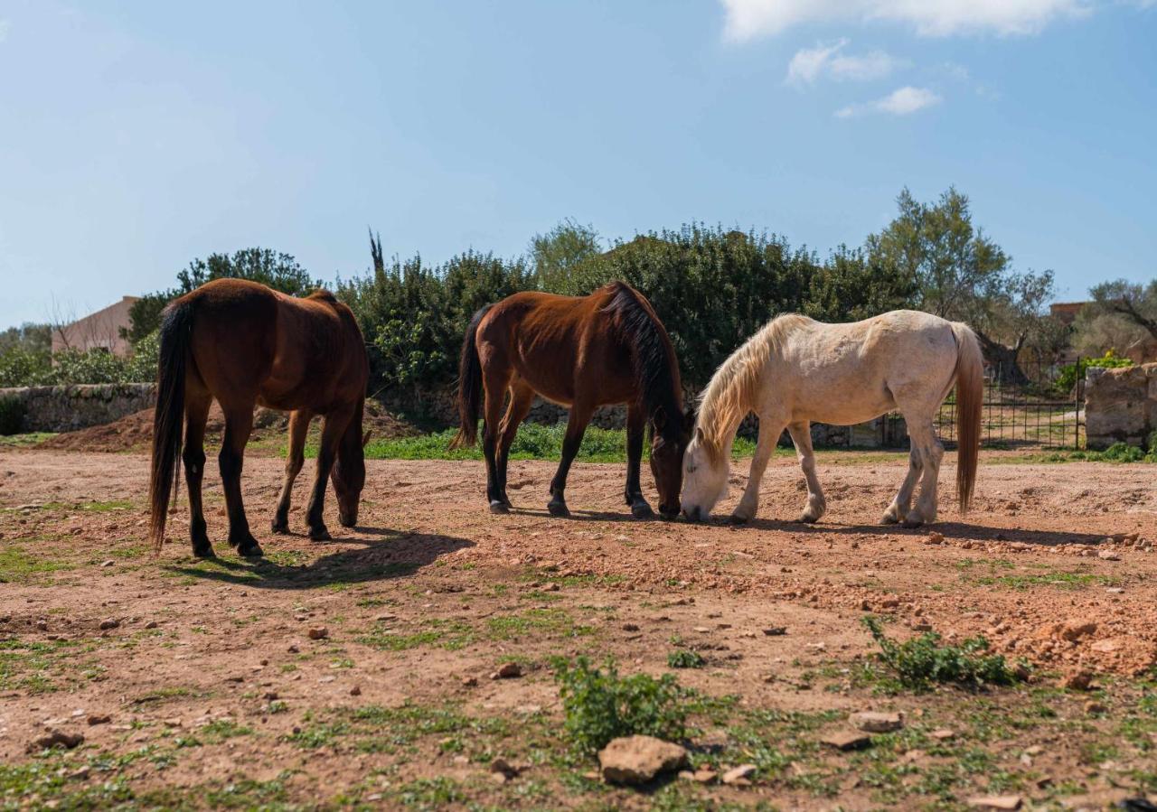 Agroturismo Sa Canoveta 콜로니아 산트 호르디 외부 사진